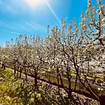 Agroturismo Il Cucchiaio Di Legno