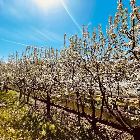 Lantgård Agriturismo Il Cucchiaio Di Legno