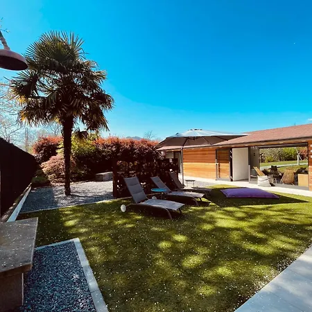 Il Cucchiaio Di Legno