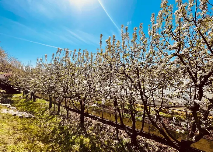 בית חווה Il Cucchiaio Di Legno