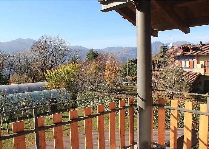 Il Cucchiaio Di Legno *